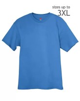 Hanes Tagless Review