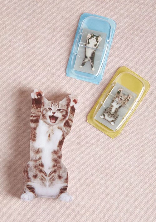 Paws Right There Sticky Note Set in Cats