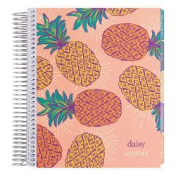 Erin Condren LifePlanner